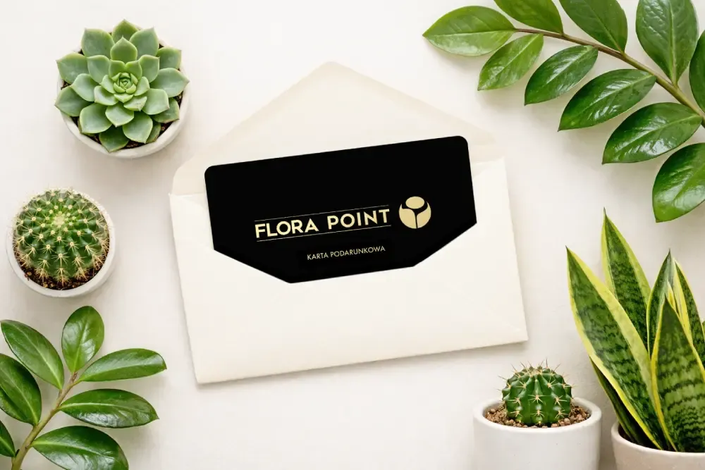 Zdjęcie główne hero